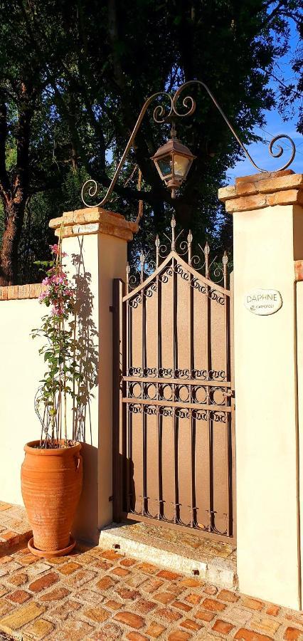 Corfu  Carpofoli Corfu 아파트 외부 사진